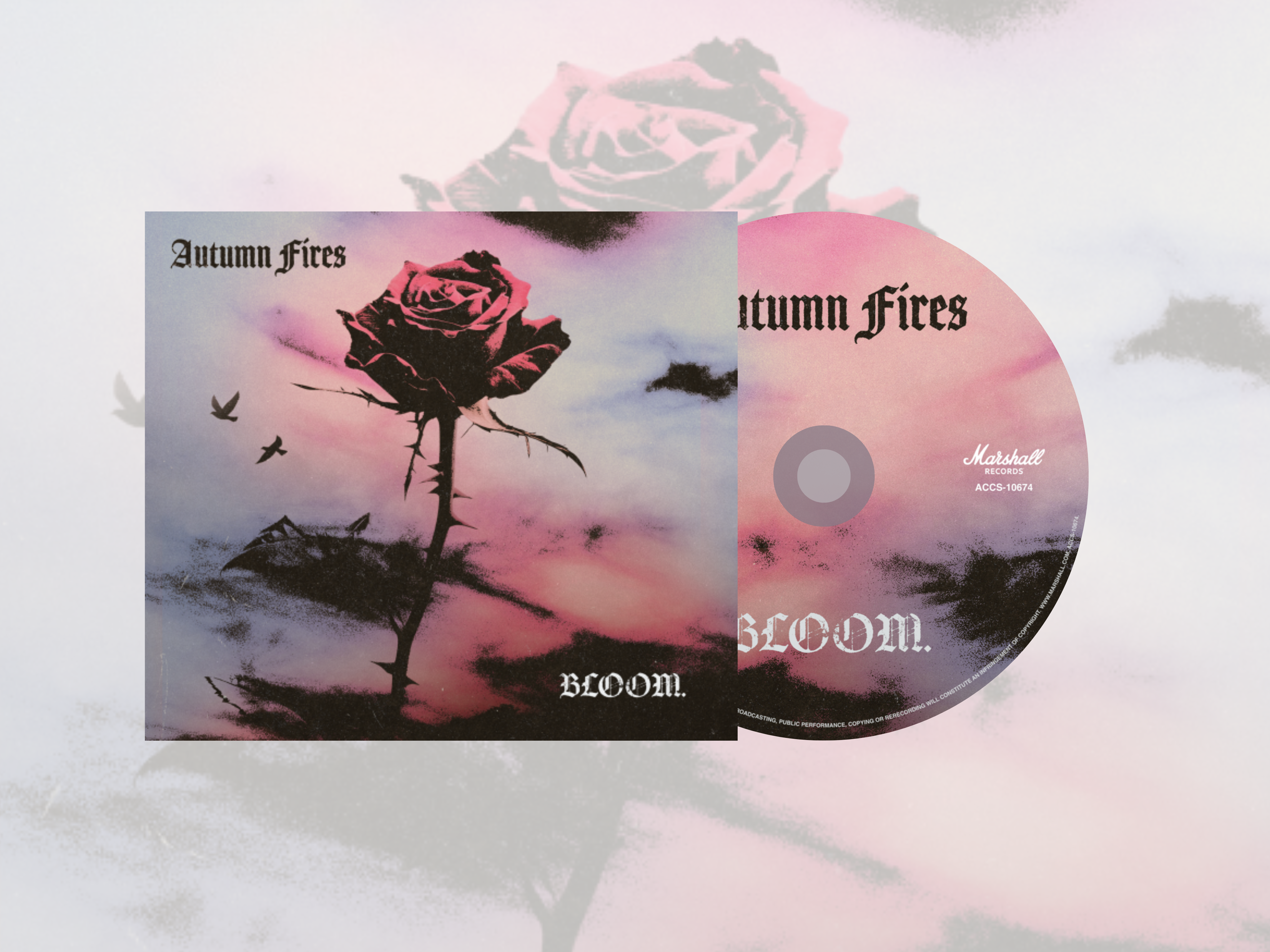 AUTUMN FIRES CD's! – AutumnFires